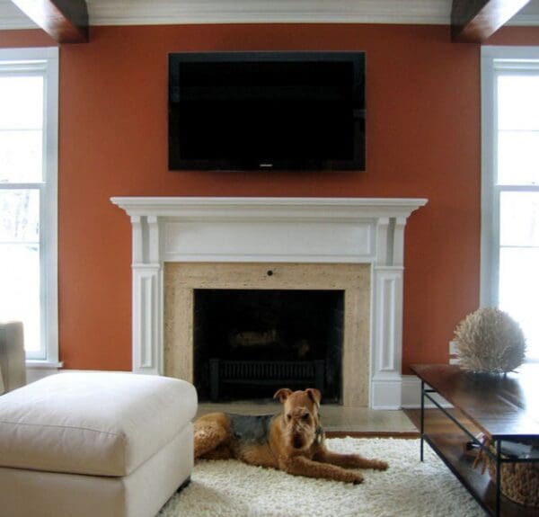 Dog sitting in front of fireplace.